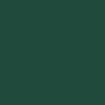 EmbroCrest Shawl - Green