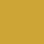 EmbroCrest Shawl - Mustard