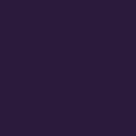 EmbroCrest Shawl - Purple