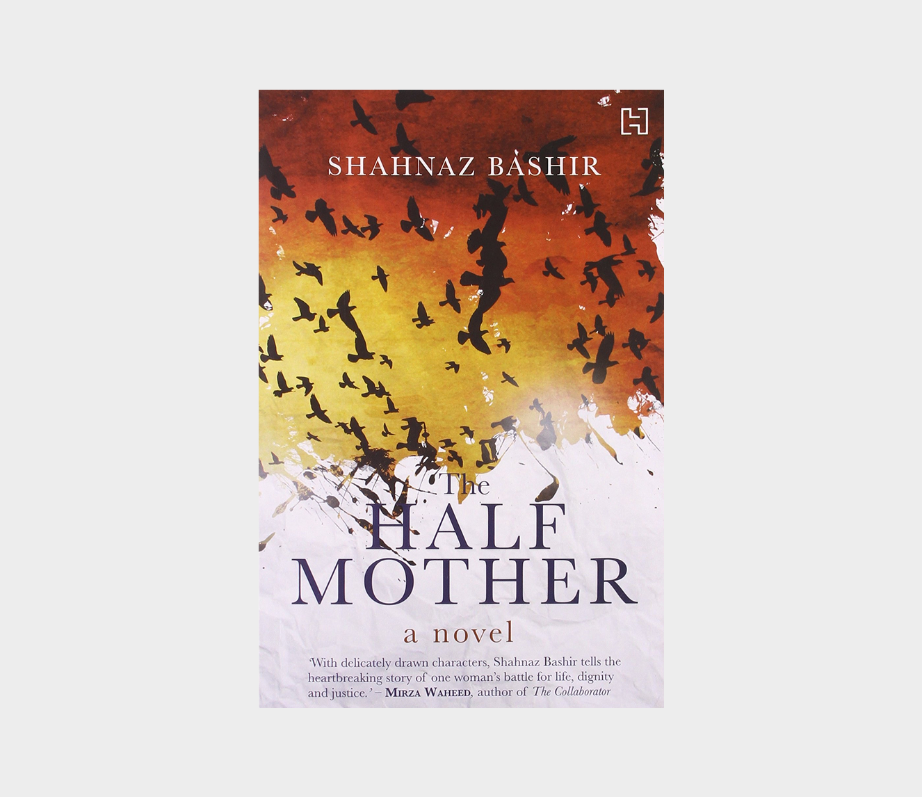 Book Cover