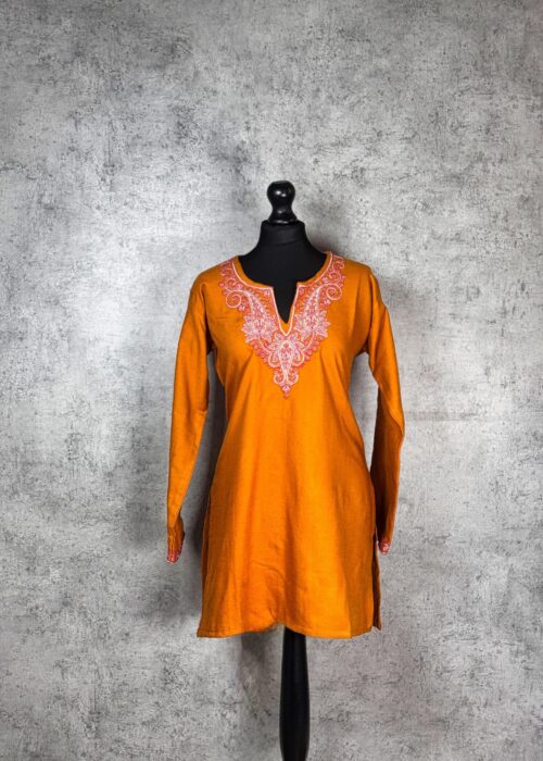Sunlit Valley Kashmiri Short Kurti