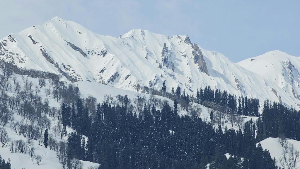 Snow-covered Himalayan mountains and pine forest under a winter sky