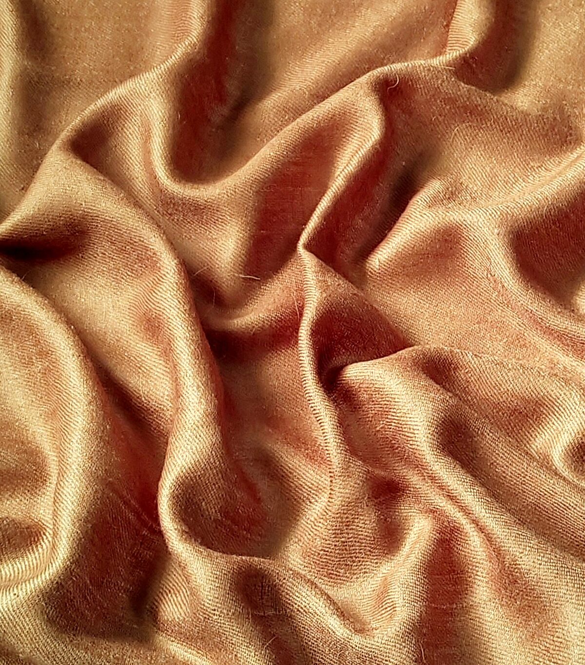 Aatish-e-Chinar Cashmere Scarf