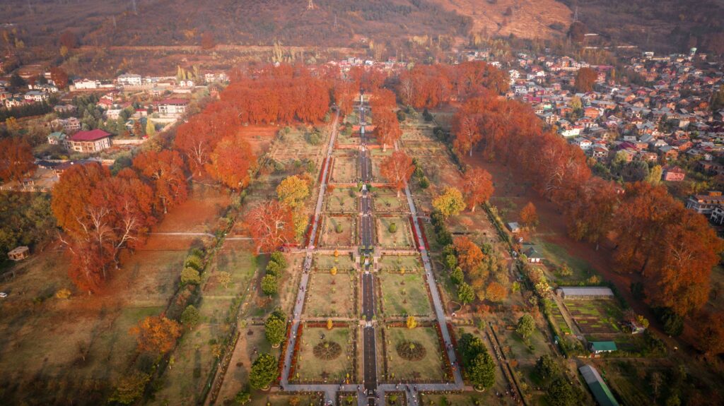 Aerial view of a Mughal garden in Srinagar, its chinar trees turned red and gold for autumn