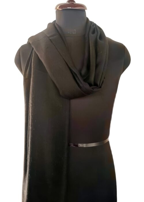 Aaftab Saba e Kashmir Pashmina Shawl in Black