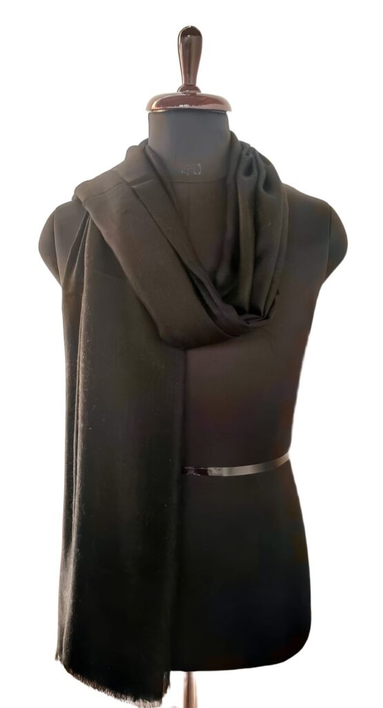 Aaftab Saba e Kashmir Pashmina Shawl in Black