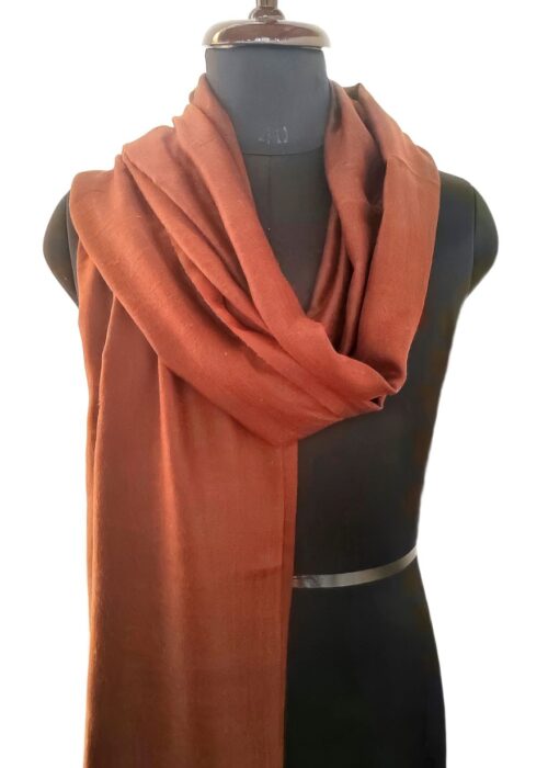Heeposh Kashmiri Pashmina Shawl in Rust