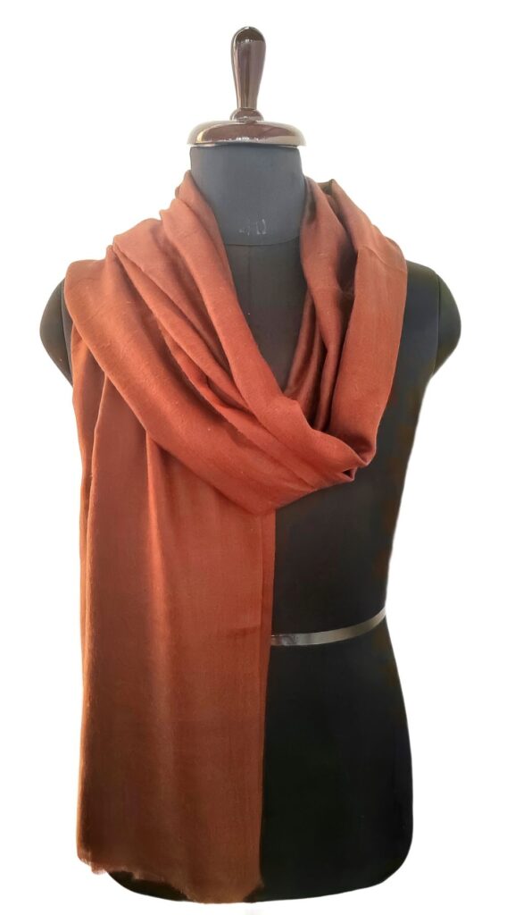 Heeposh Kashmiri Pashmina Shawl in Rust