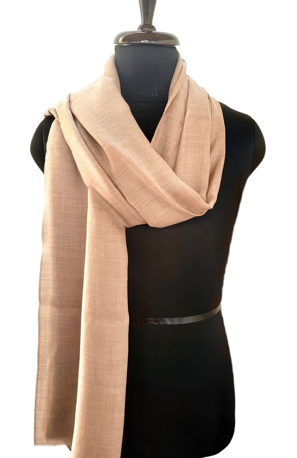 Nilofer Zar-e-Sahar Pashmina Shawl in Beige