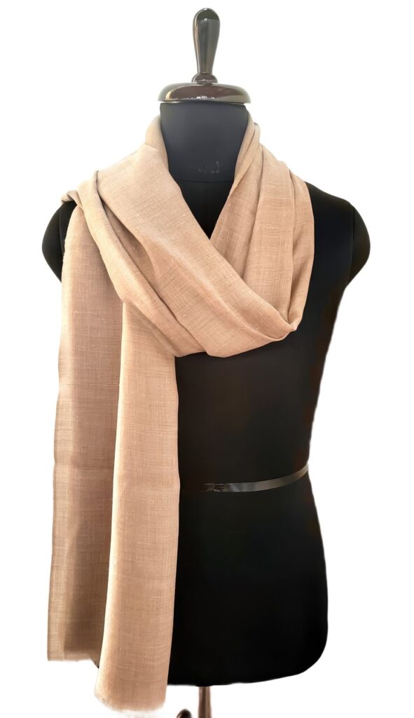 Nilofer Zar-e-Sahar Pashmina Shawl in Beige