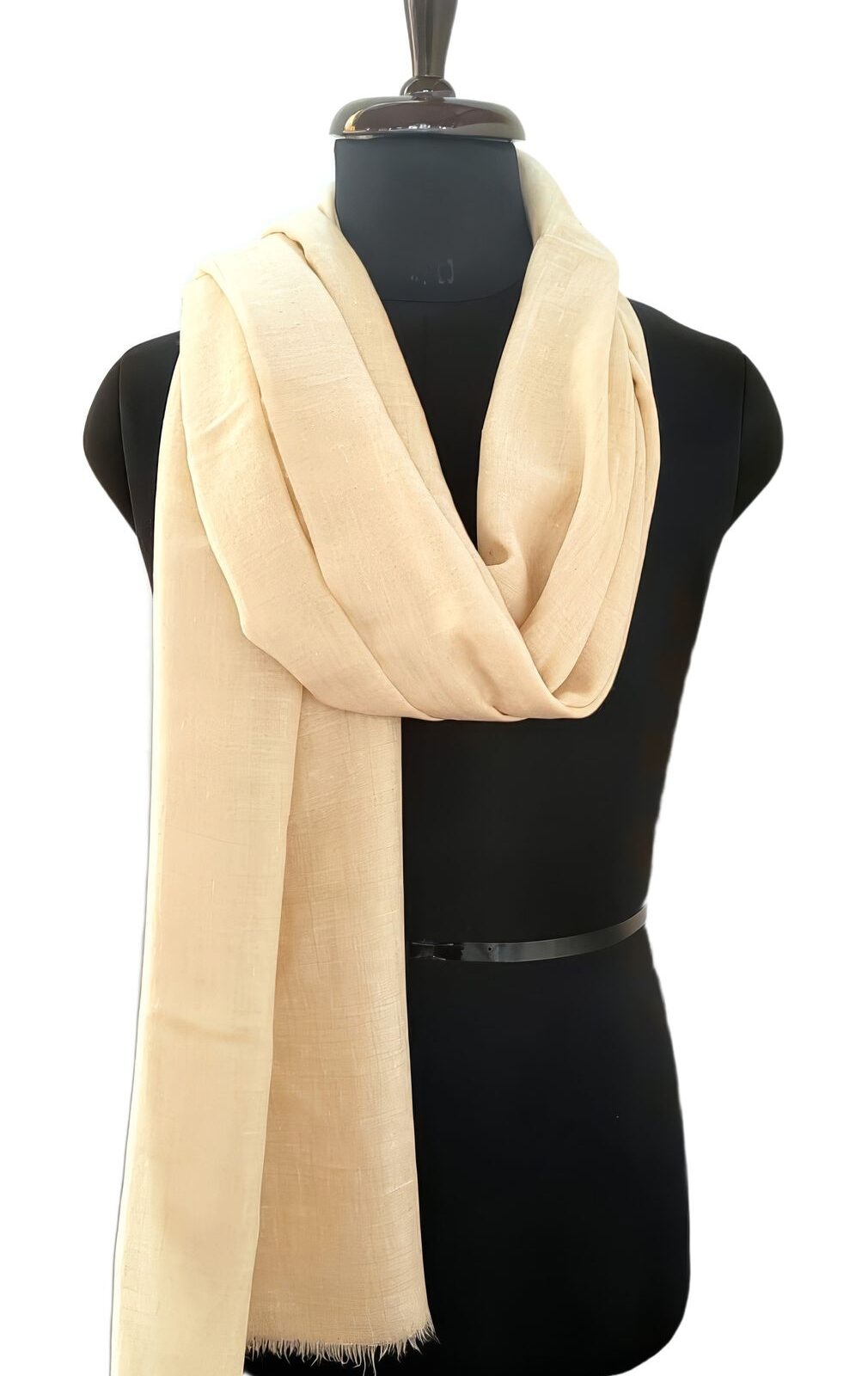 Rang e Kohsar Kashmiri Pashmina Shawl in Beige