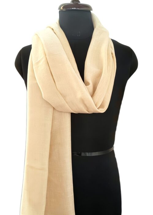 Rang e Kohsar Kashmiri Pashmina Shawl in Beige