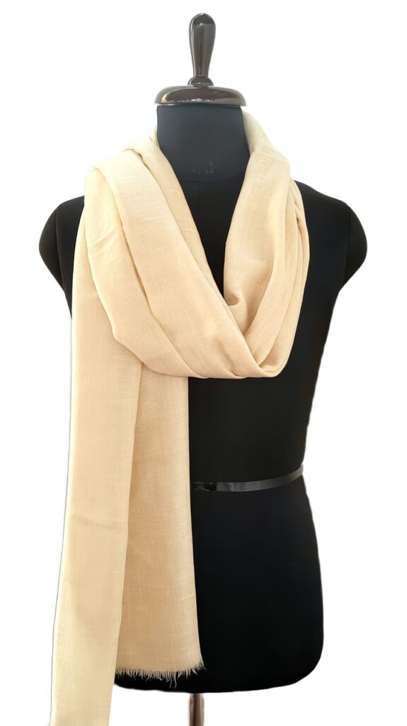 Rang e Kohsar Kashmiri Pashmina Shawl in Beige