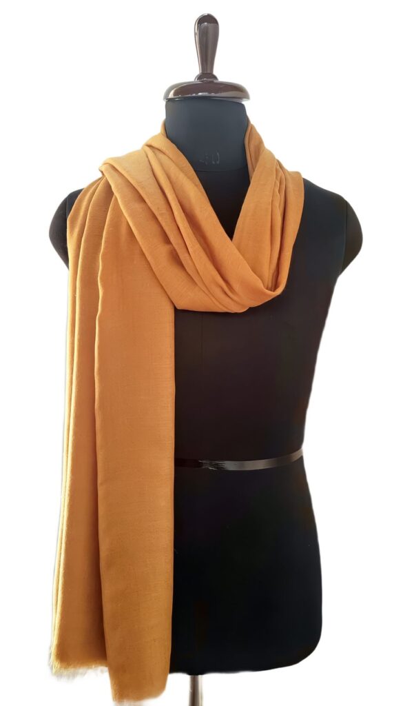 Sonth Kashmiri Pashmina Shawl in Warm Earth Tones